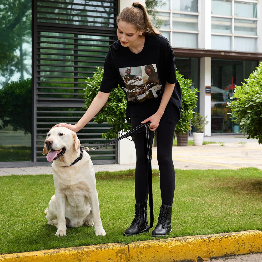 6 FT Black Nylon Reflective Dog Leash for Large Dogs with 2 Padded