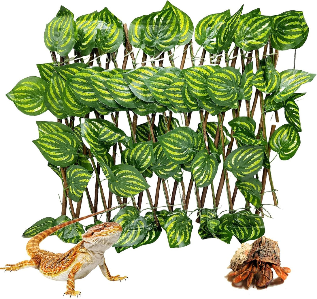 Reptile Hermit Crab Climbing Wall Toy Bearded Dragon Climb Tank