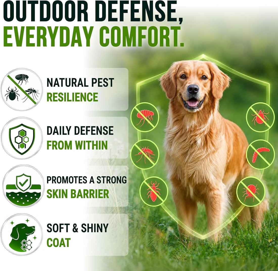 Flea and Tick Prevention for Dogs Chewables