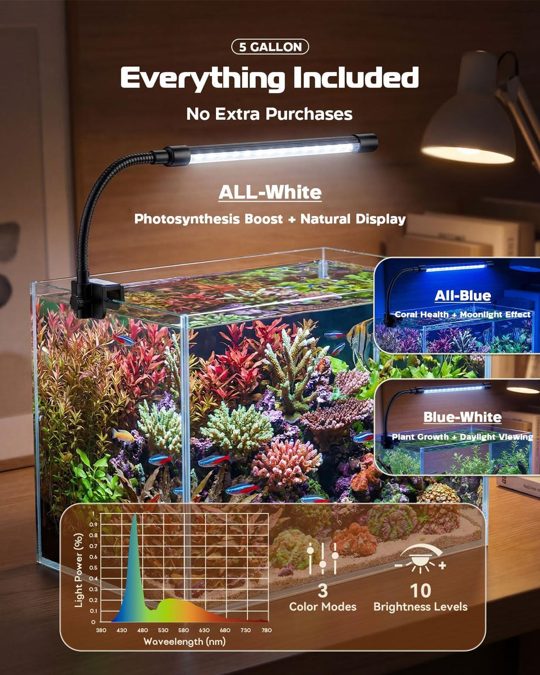 5 Gallon Glass Aquarium Starter Kit, Rimless Fish Tank