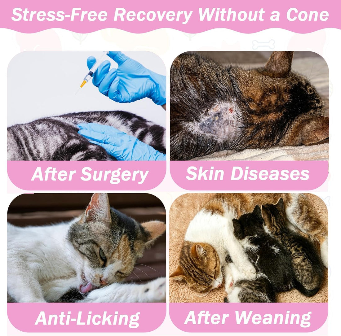 Coppthinktu Cat Recovery Suit Female Cat Onesie for Spay Abdominal