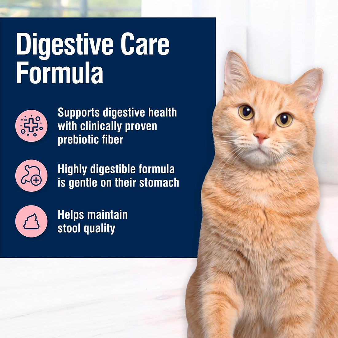 Blue Buffalo True Solutions Digestive Care Chicken Cat Food, 3 oz