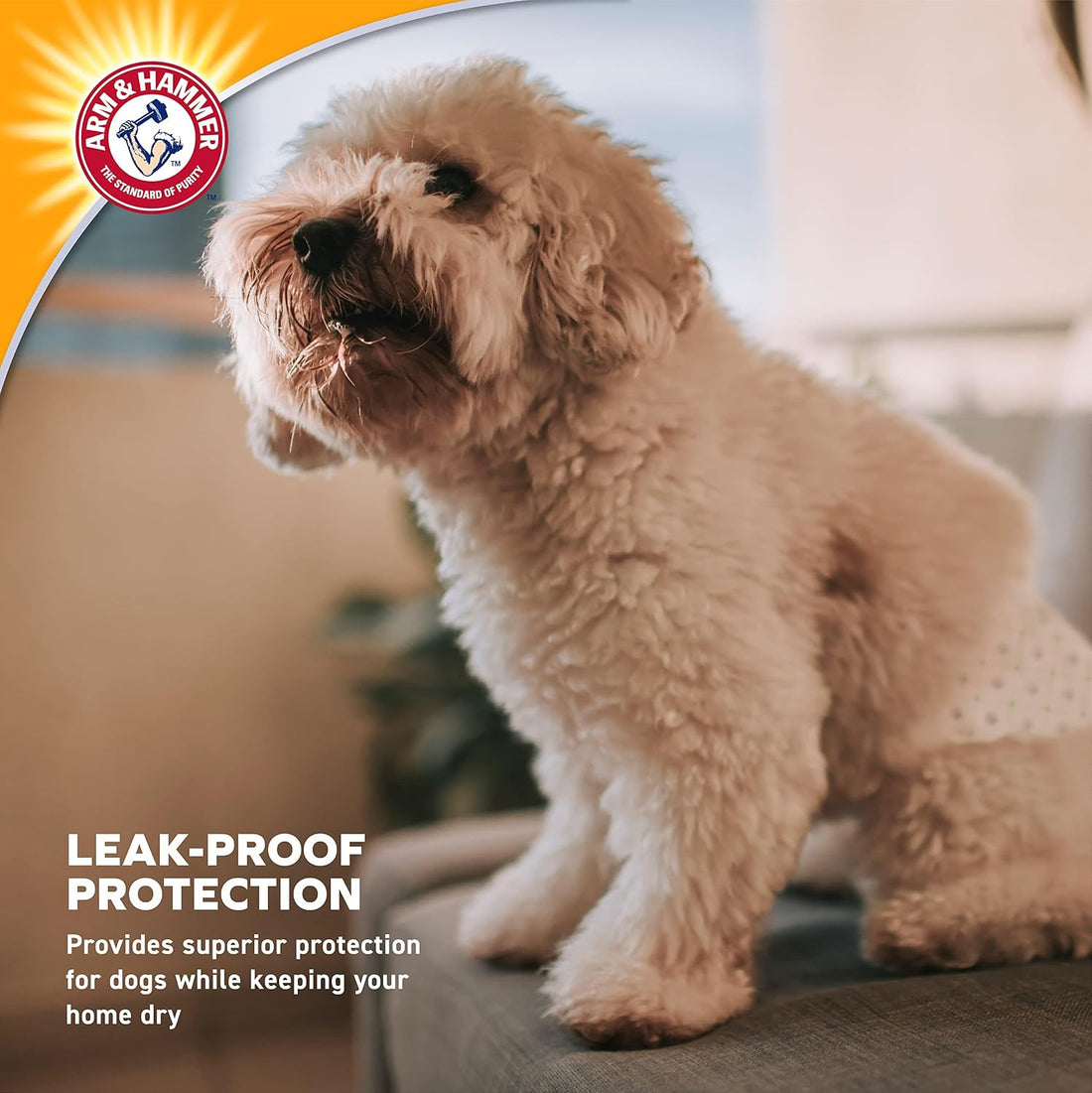 Arm & Hammer Disposable Female Dog Diapers, Medium, 12 Count