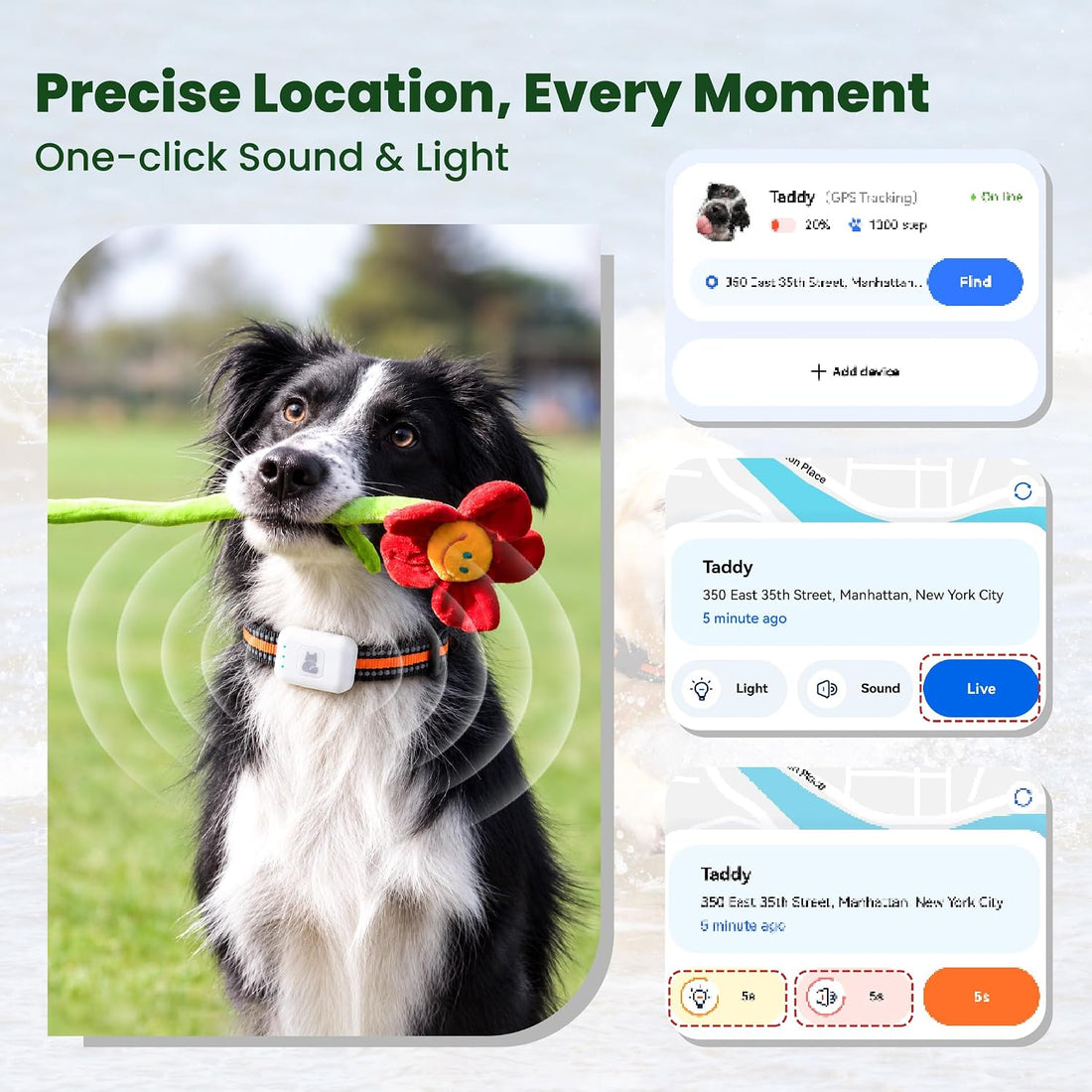 Dog Tracker GPS, Real Time Tracking & Virtual Fence 1-Year Service