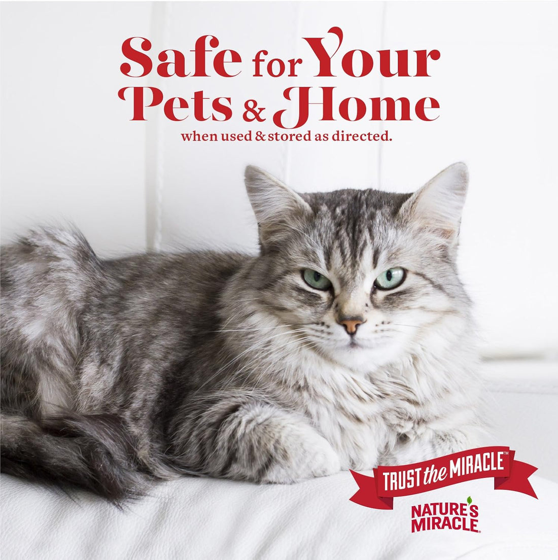 Nature’s Miracle Advanced Stain and Odor Eliminator Cat