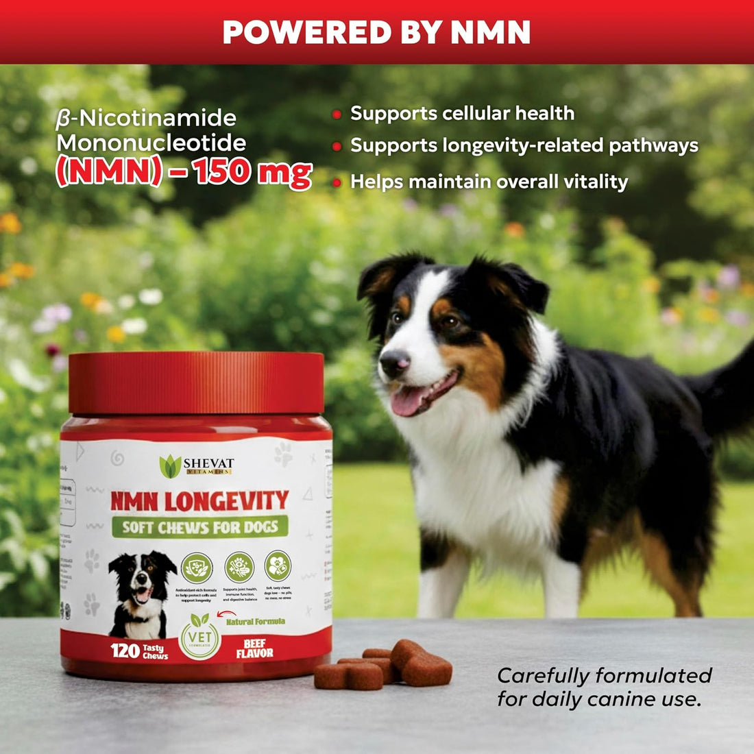 NMN Longevity Soft Chews for Dogs – Beef Flavored