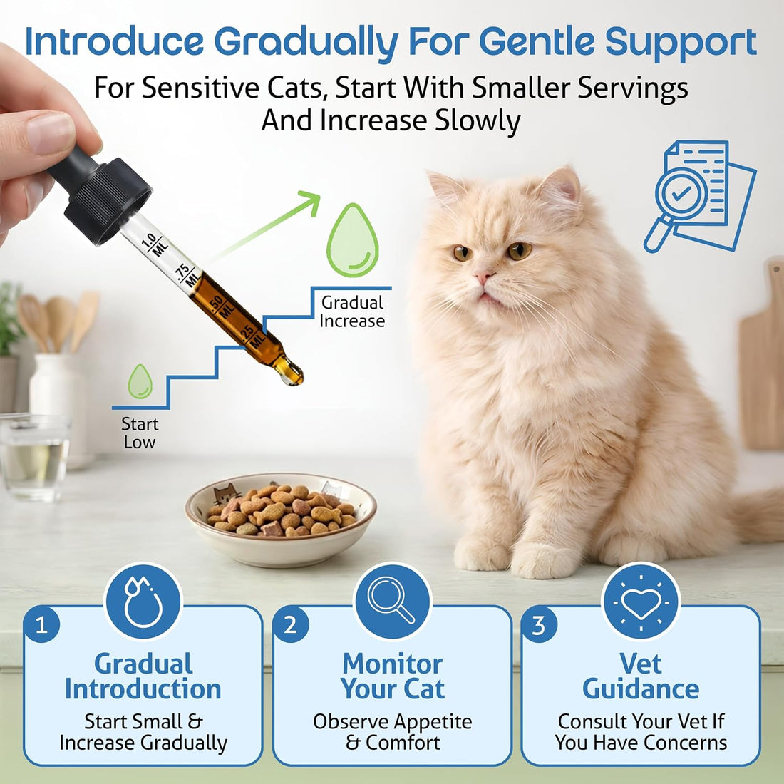Pet Wellbeing Kidney Support Gold for Cats