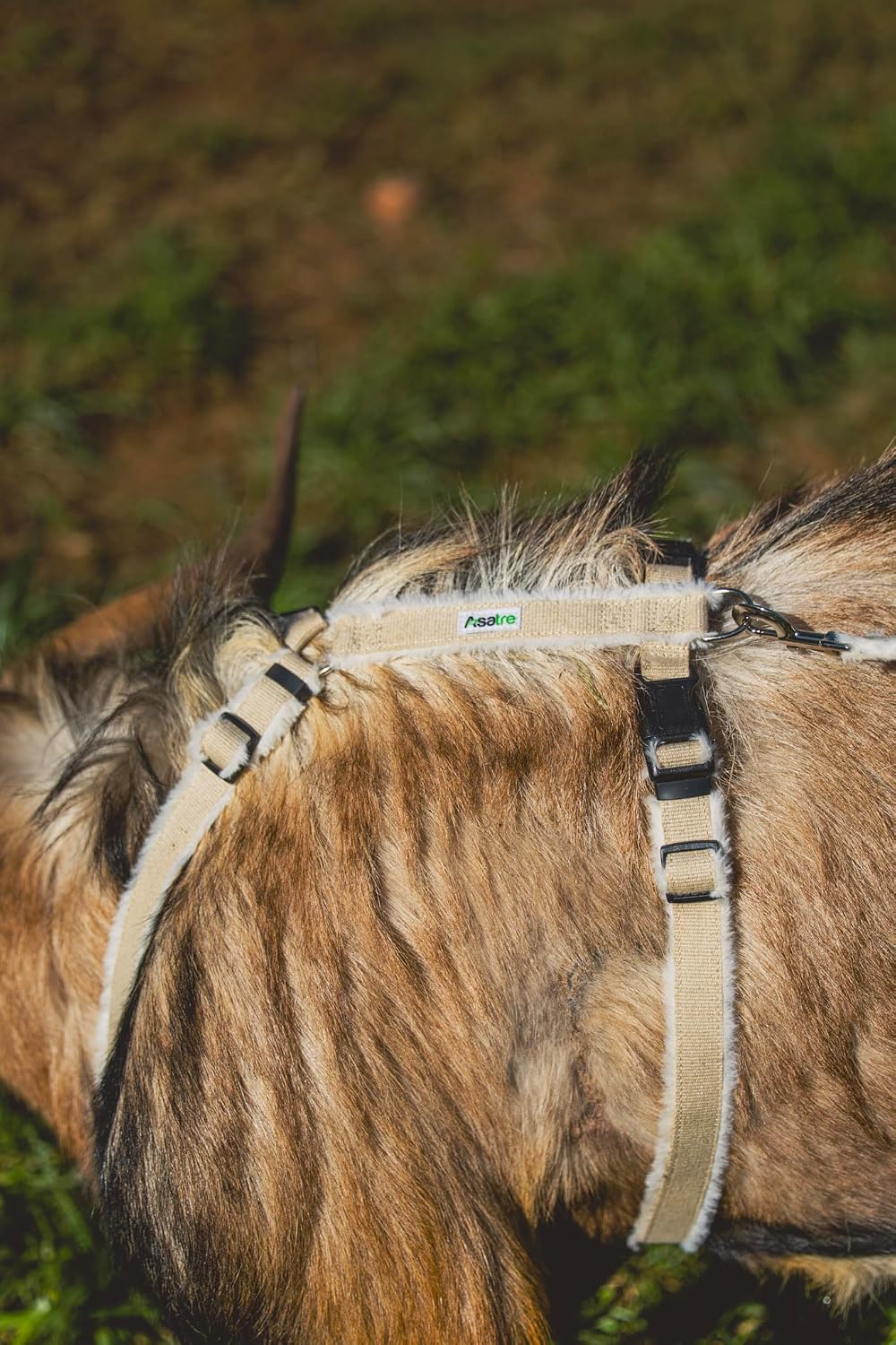 Asatre Goat Harness - Adjustable Livestock Harness – X-Large