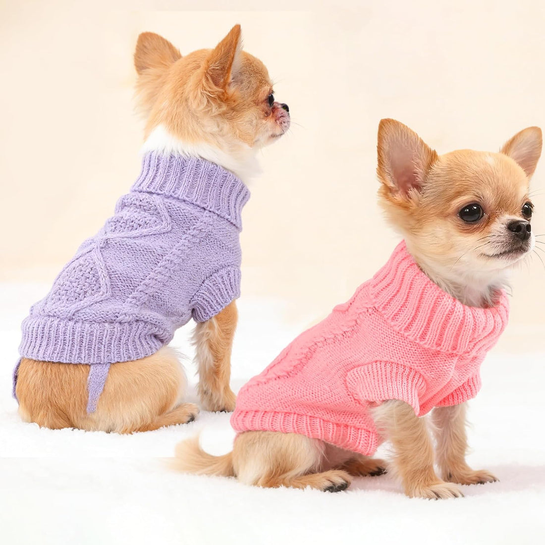 2 Pieces Puppy Sweater Dog Sweater for Small Dogs Winter Warm Dog