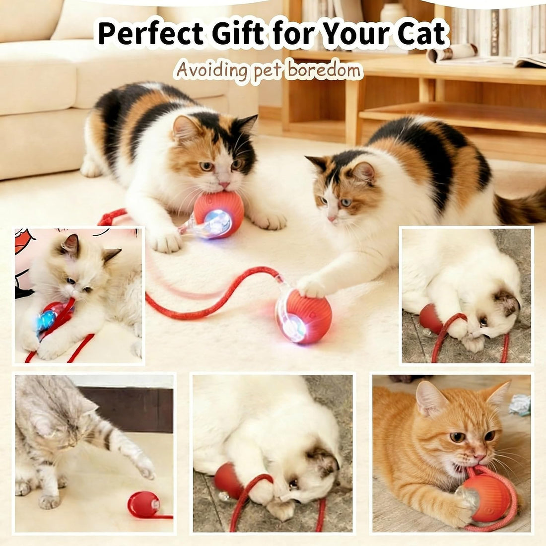 Interactive Cat Toy Ball, Automatic Cat Toys for Indoor Cats with 3