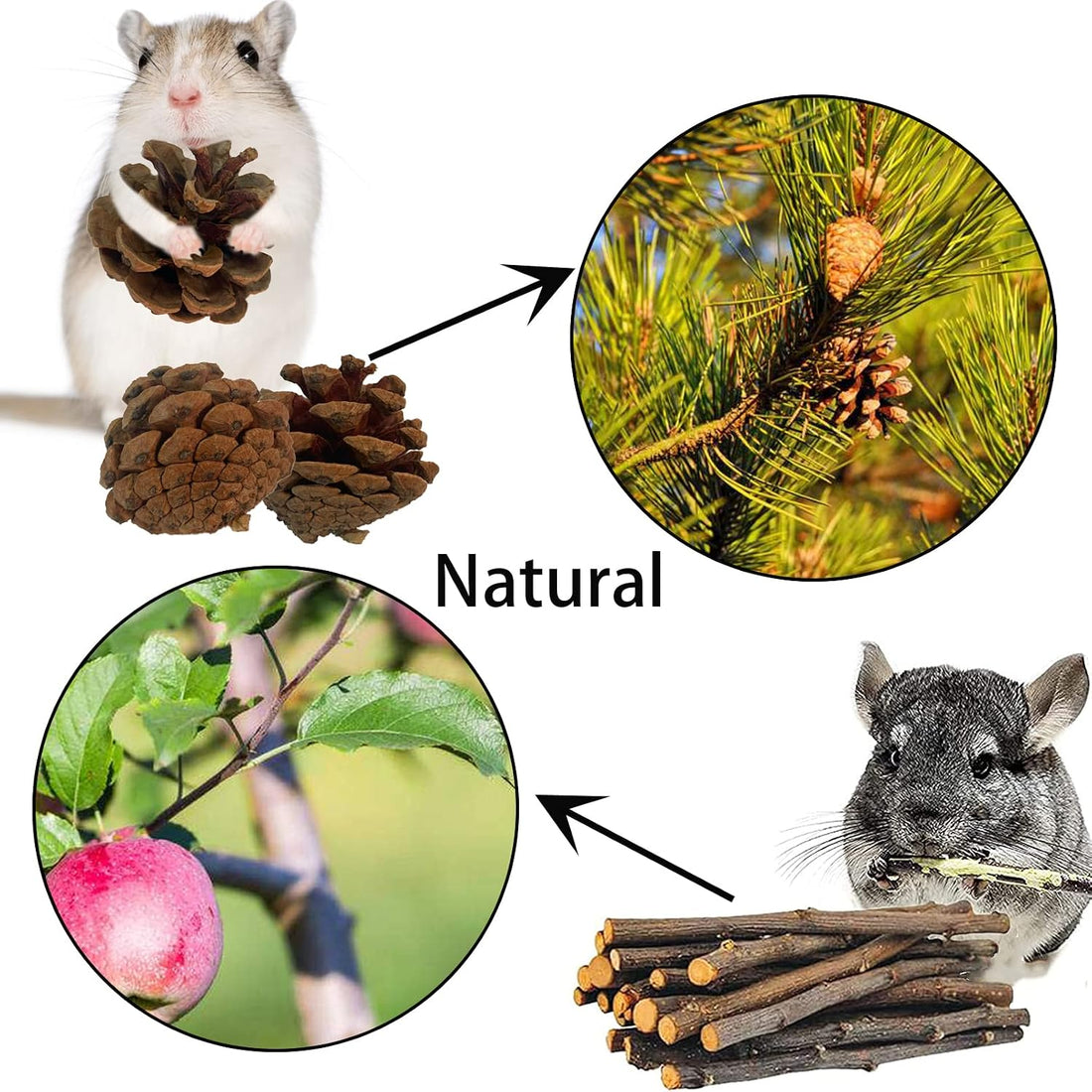 Natural Wooden Hamster Tunnel,Wood Hamsters Hideout Tube,Small Animal