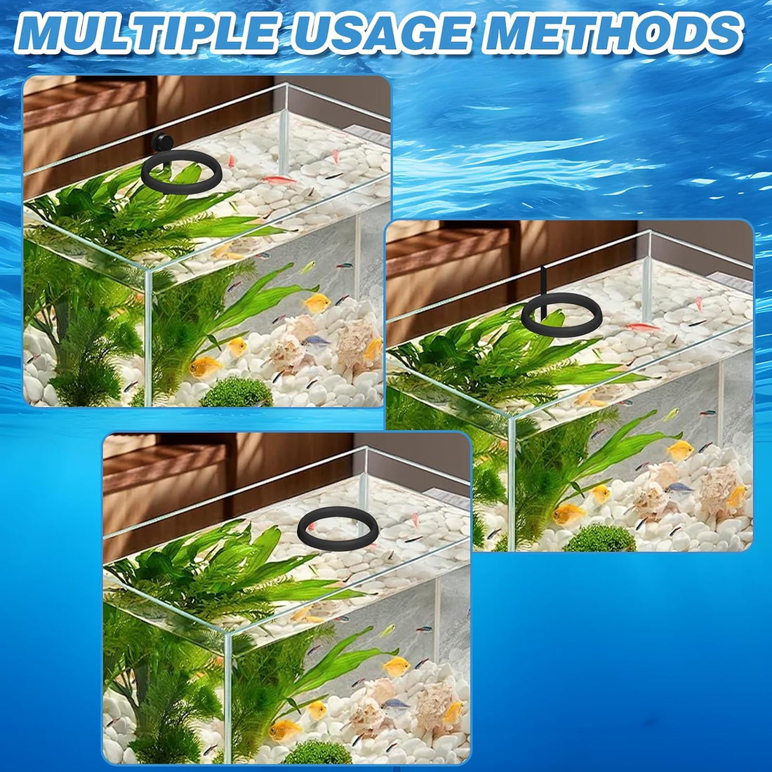 Magnetic Fish Feeding Ring, Automatic Turtle Feeder for Aquarium