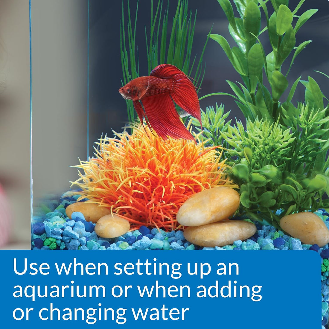API Betta Water Conditioner Betta Fish Freshwater Aquarium Water