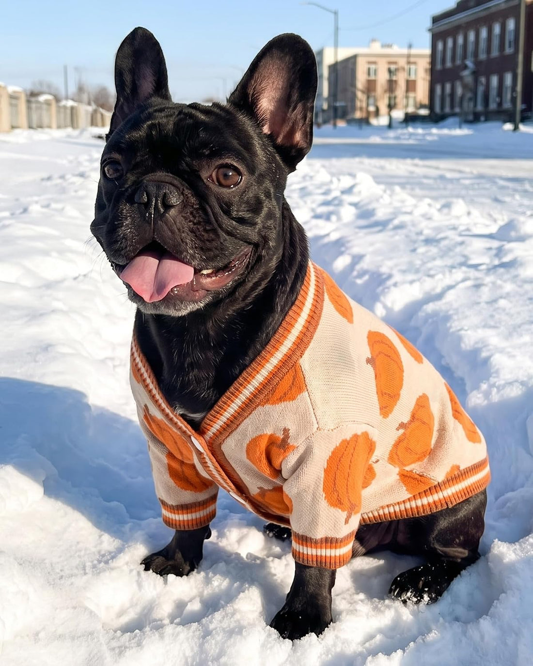 BAOBICUTEDog Sweaters for Small Dogs Cute Dog Clothes for Boy Girl
