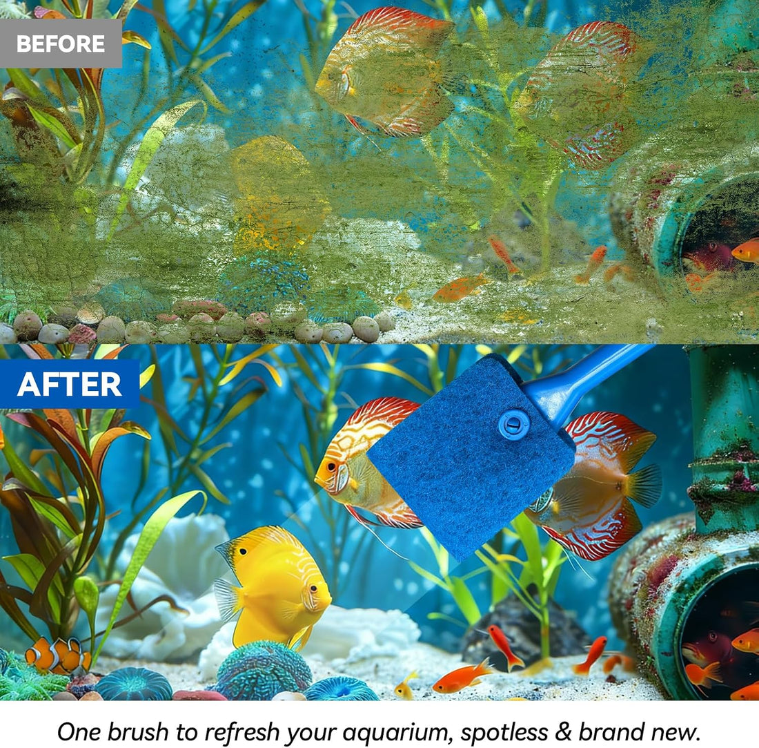 Promising Aquarium Cleaning Brush