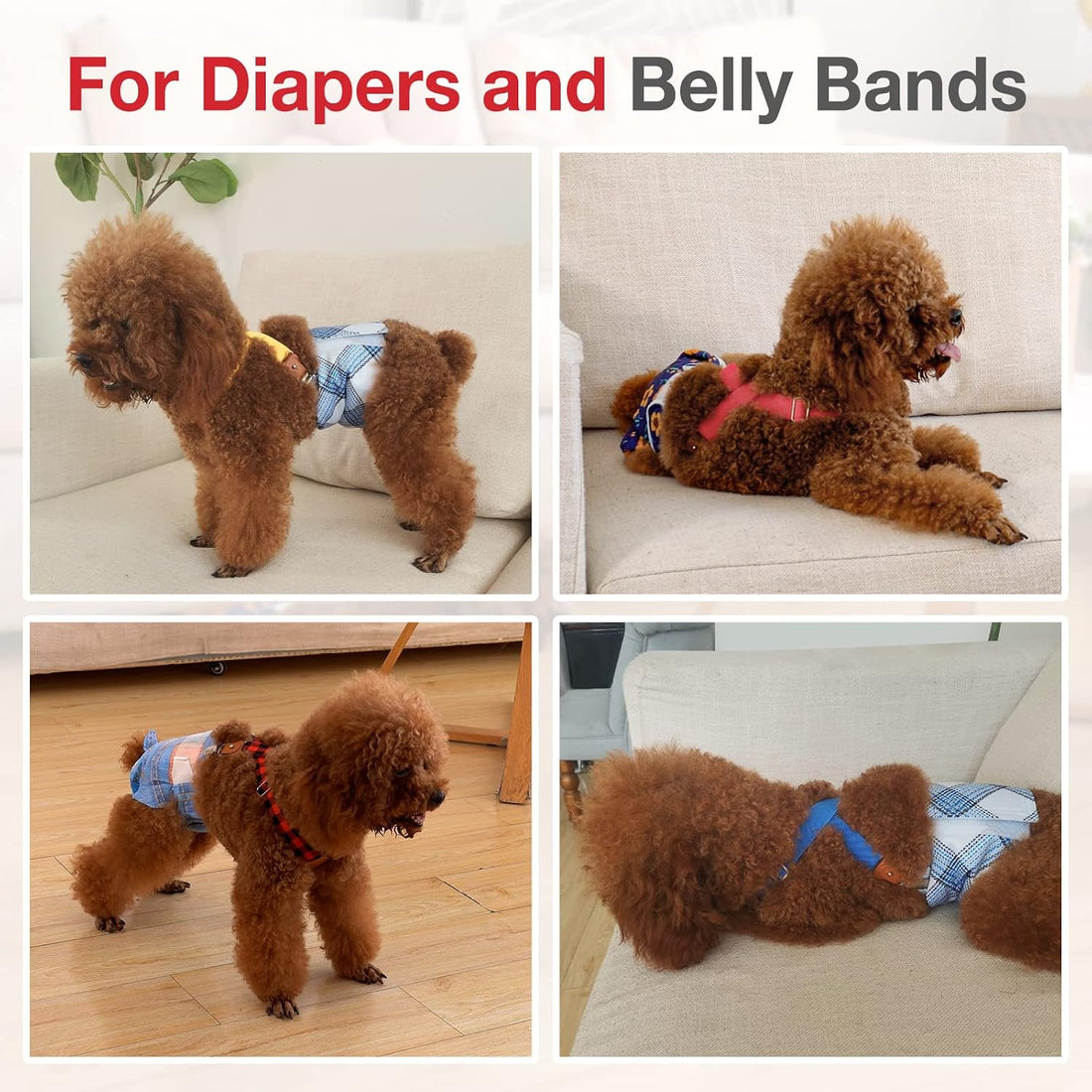 Pet Soft Dog Suspenders 2 Pieces Female Dog Diaper Suspenders