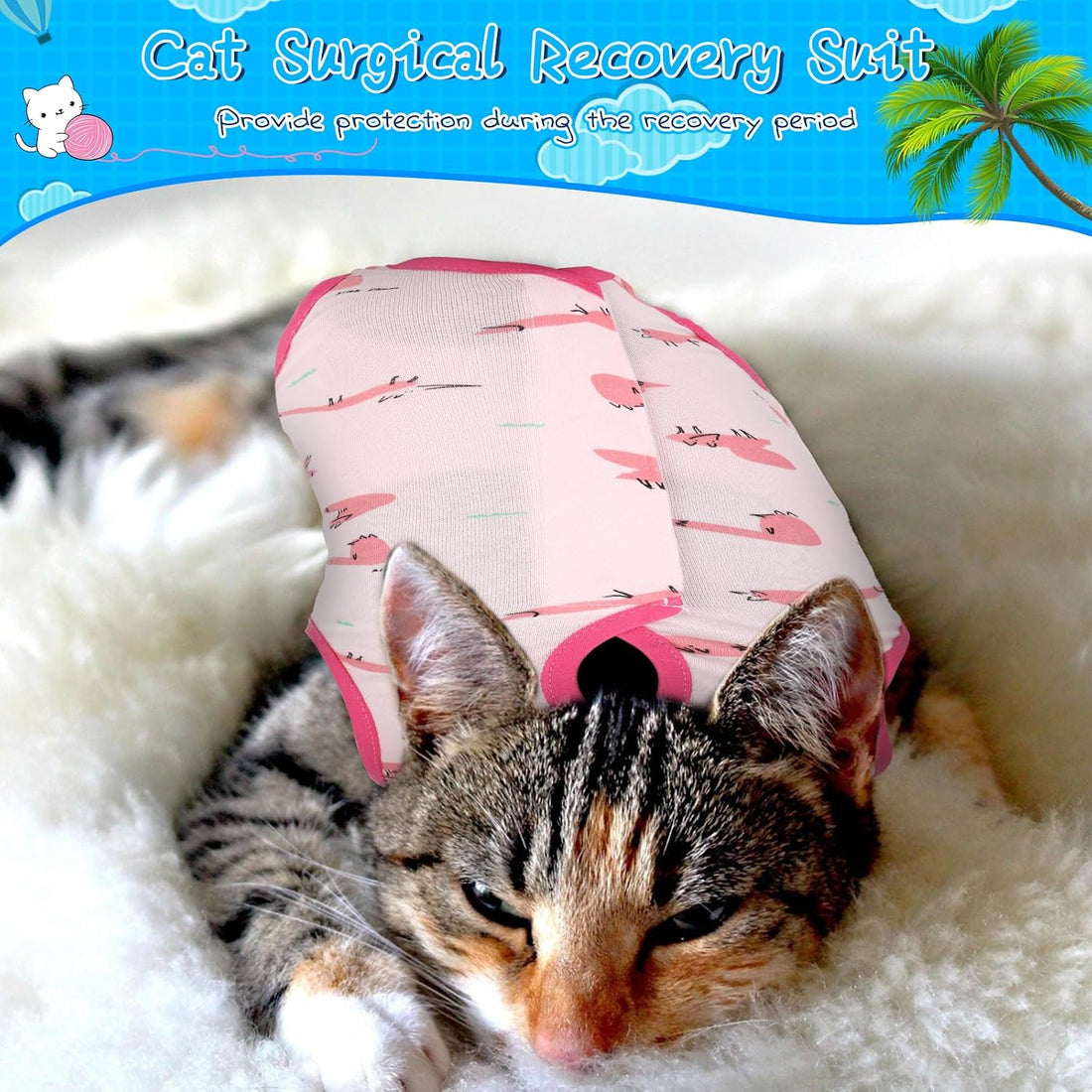 Kacctyen 6 Set Cat Recovery Suit After Surgery Female and Male Cat