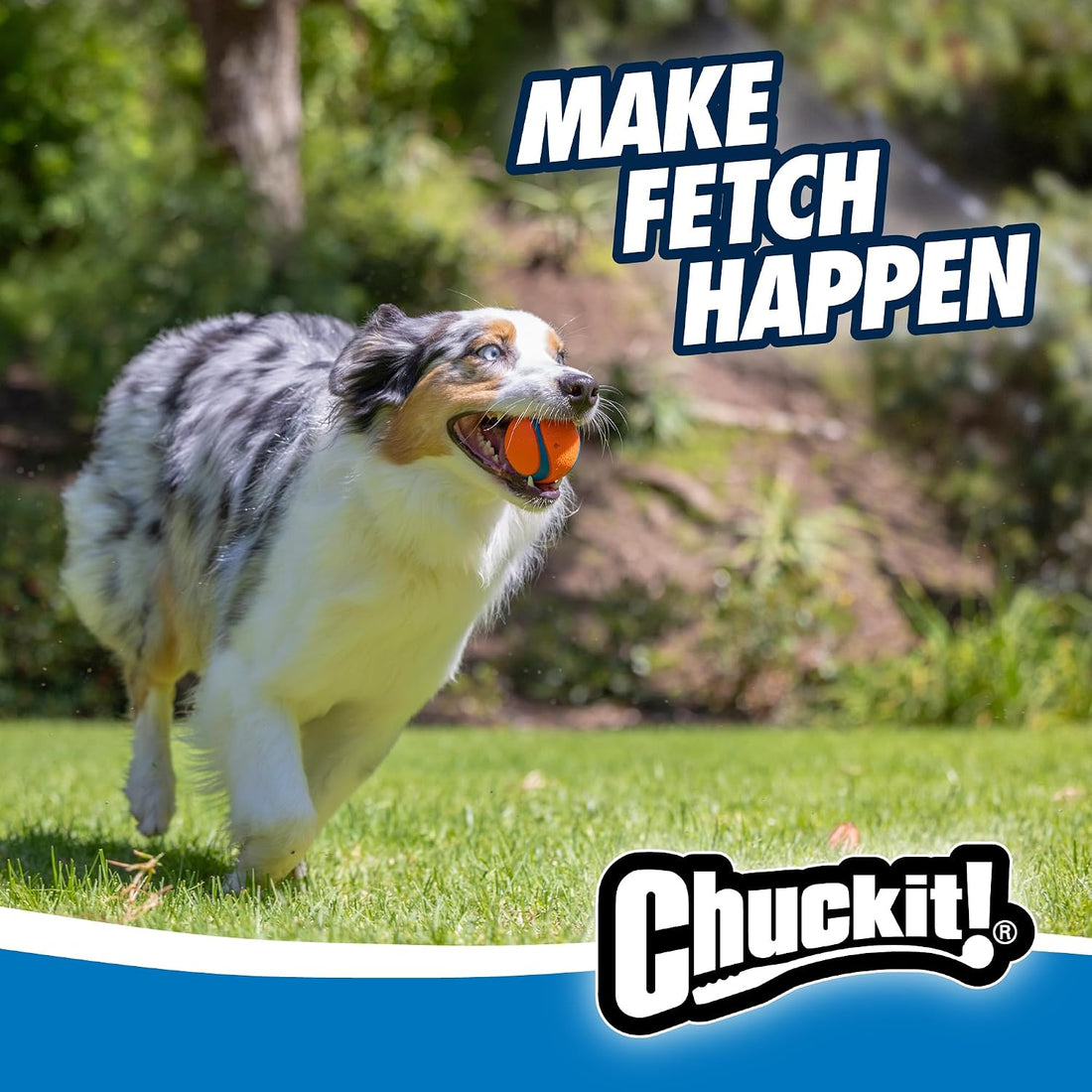 Chuckit! Ultra and Rugged Dog Balls, High-Bounce Fetch, Medium