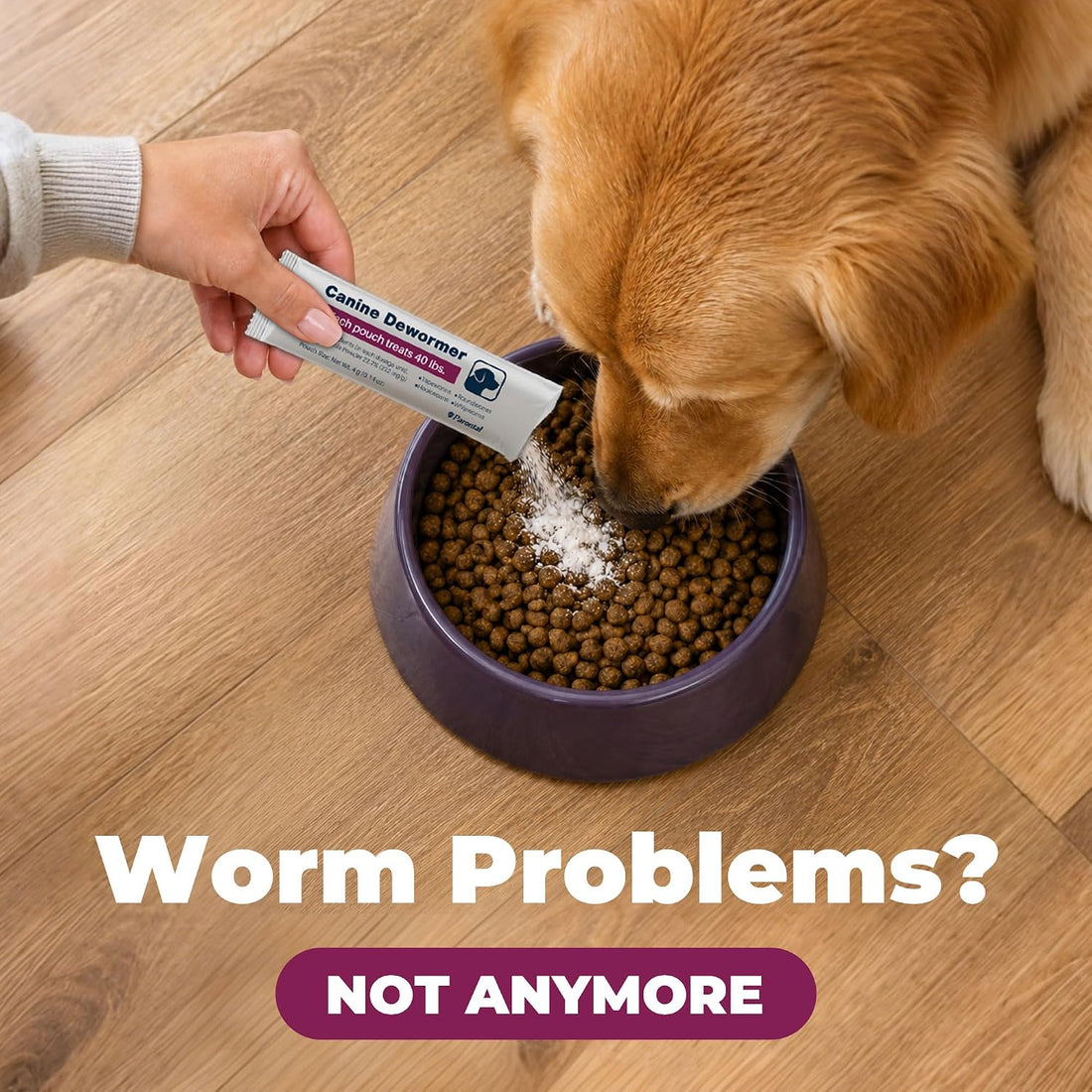 Fenbendazole for Dogs 22.2%, Large Dog Dewormer Powder