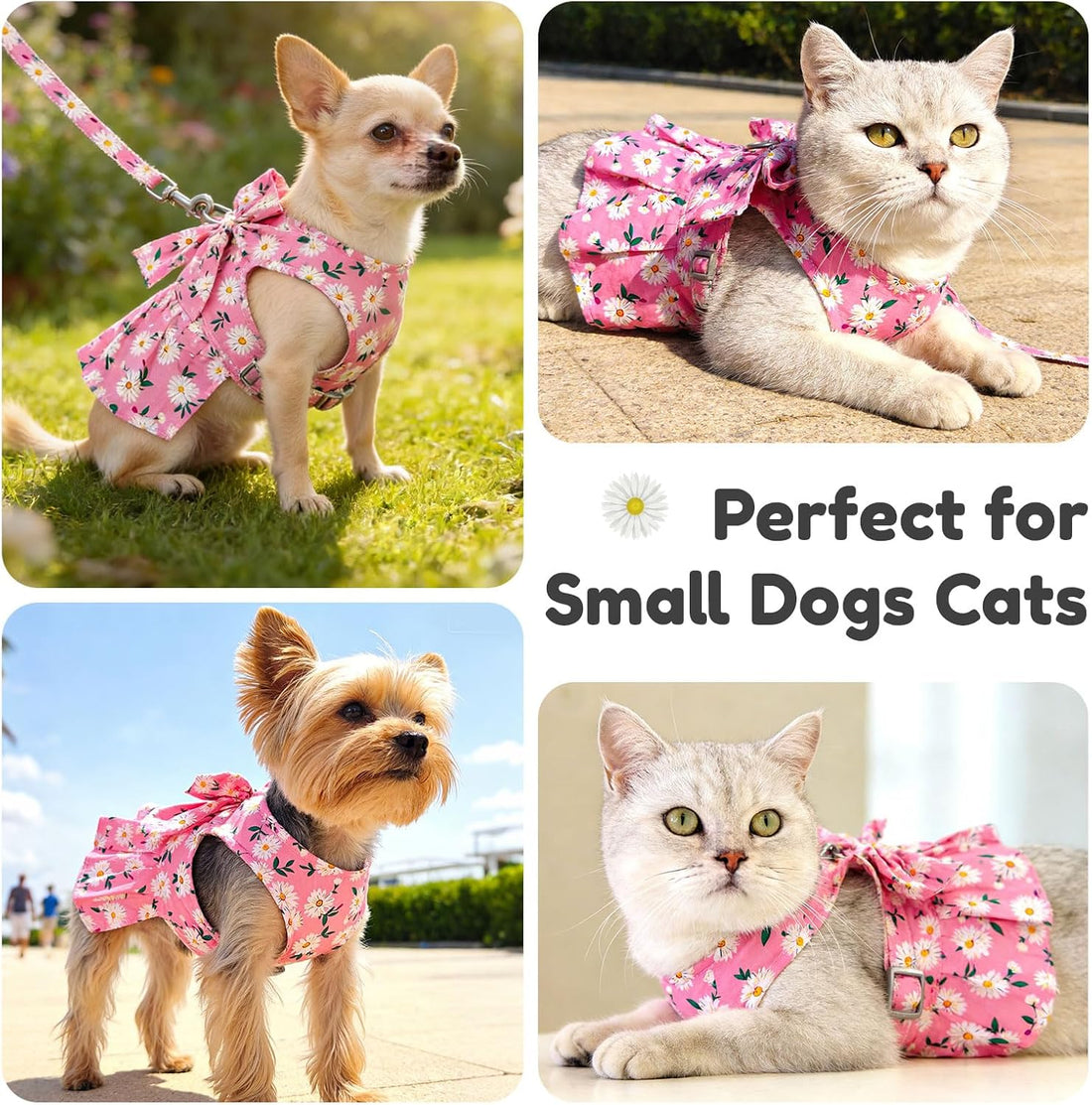 BAEJMJK Dog Dress Bowknot Harness Leash Set for Small Dogs Cats Daisy