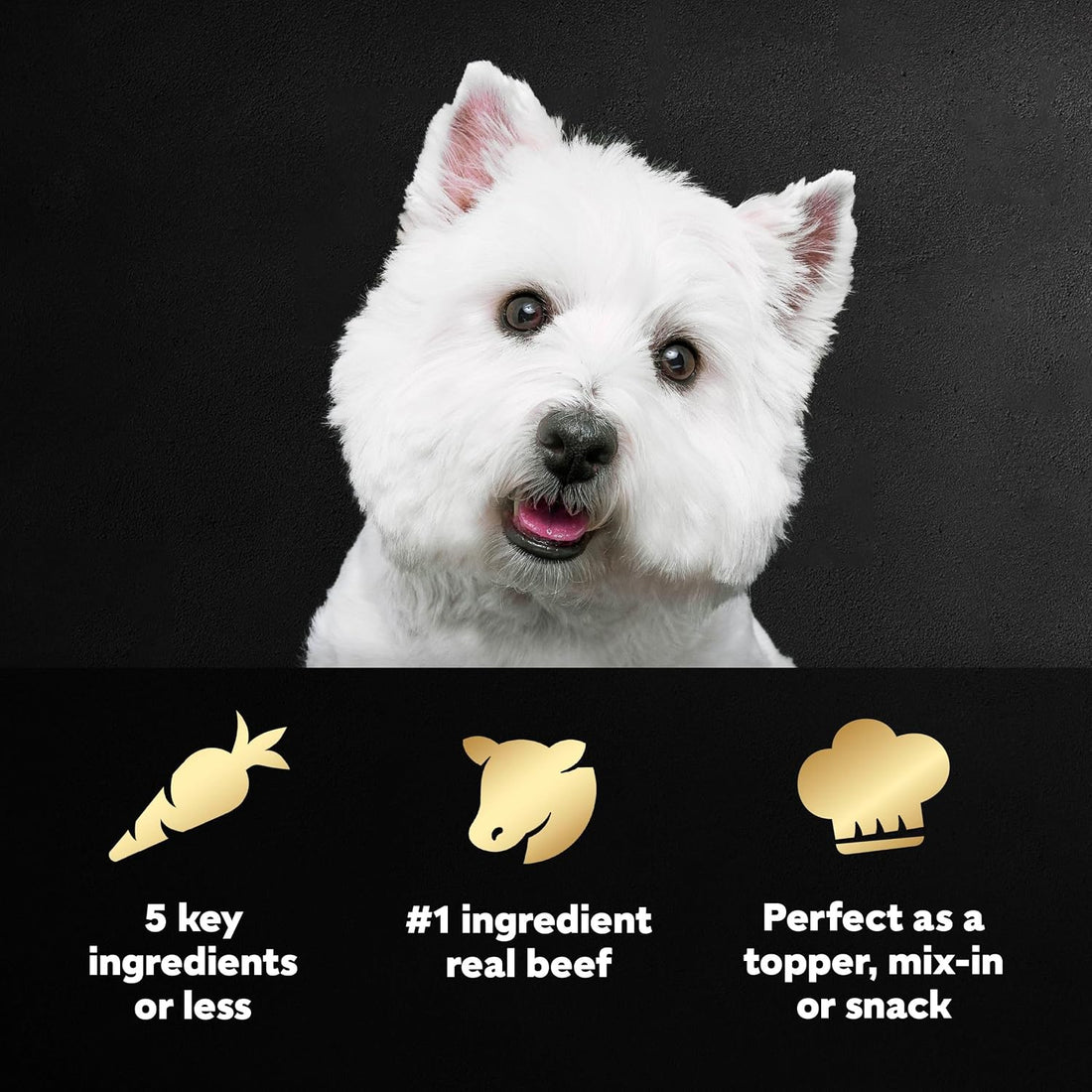 Cesar Simply Crafted Wet Dog Food Topper, Beef, 8.82 oz, 6 Count