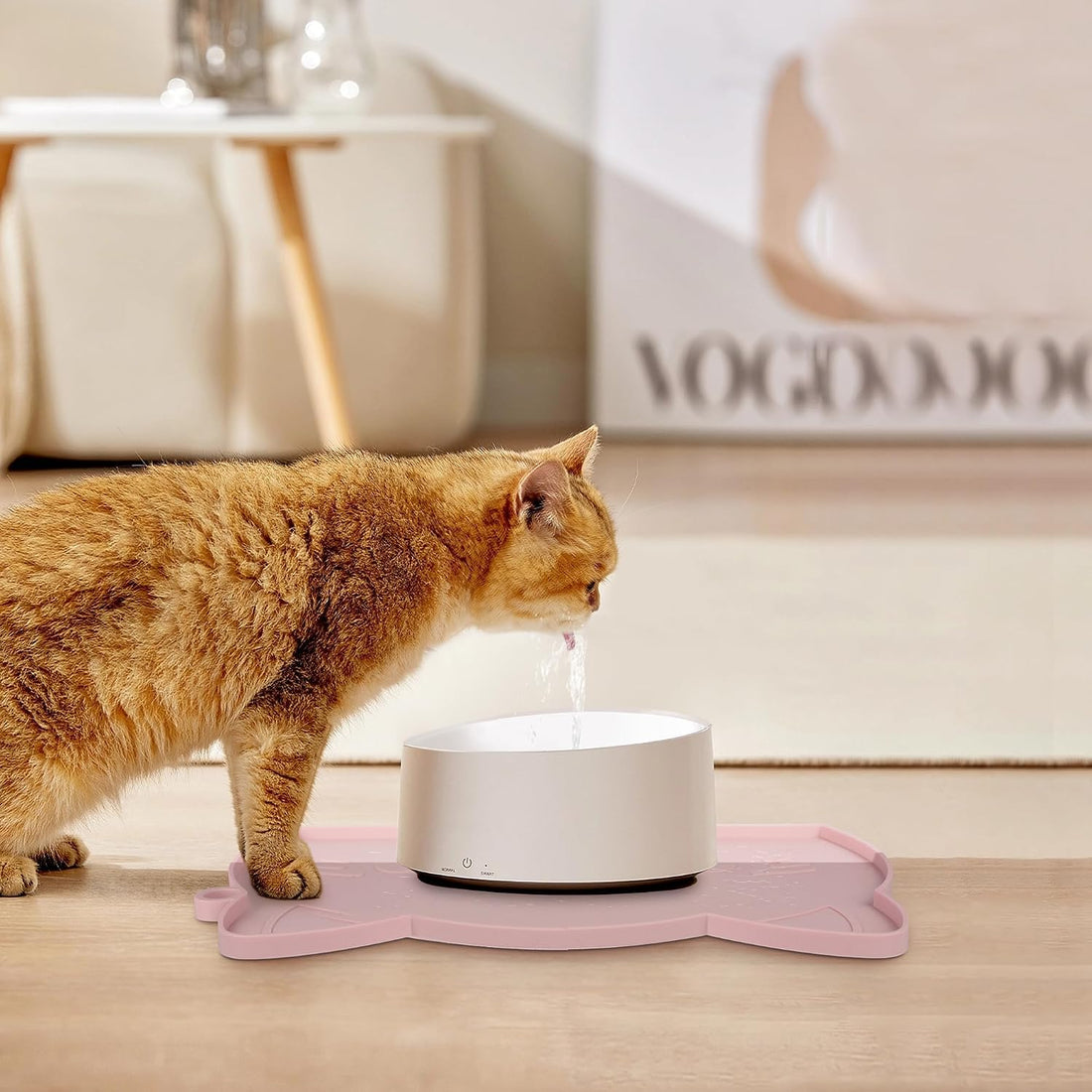 Coomazy Cat Food & Water Mat