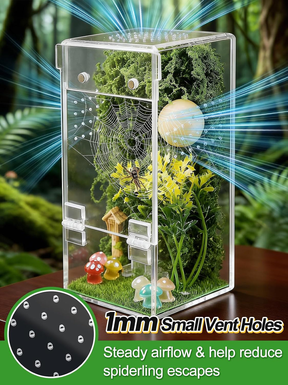 Escape-Proof One-Piece Jumping Spider Enclosure Accessories