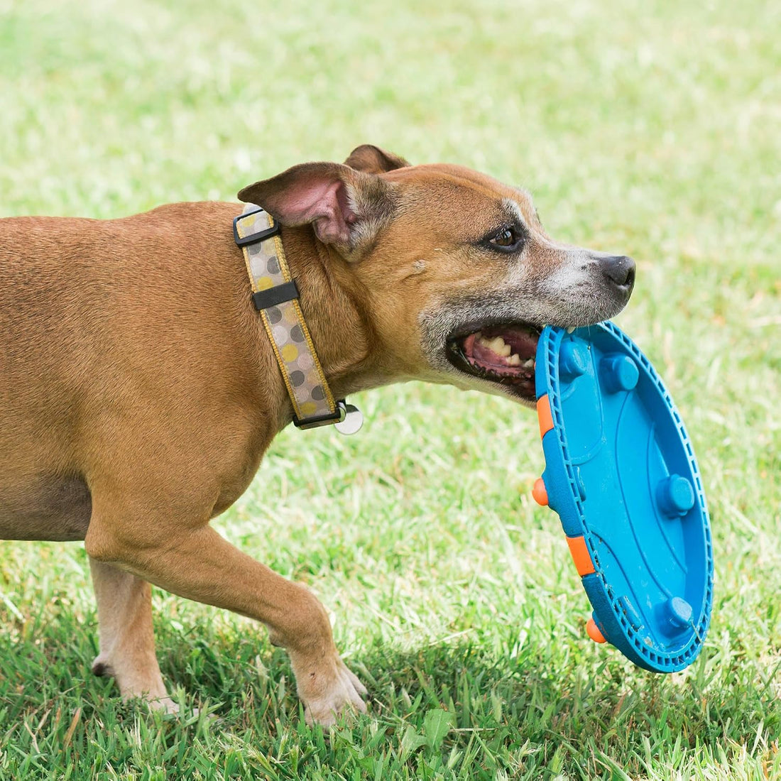 Chuckit! Whistle Flight Fetch Toy, Orange/Blue