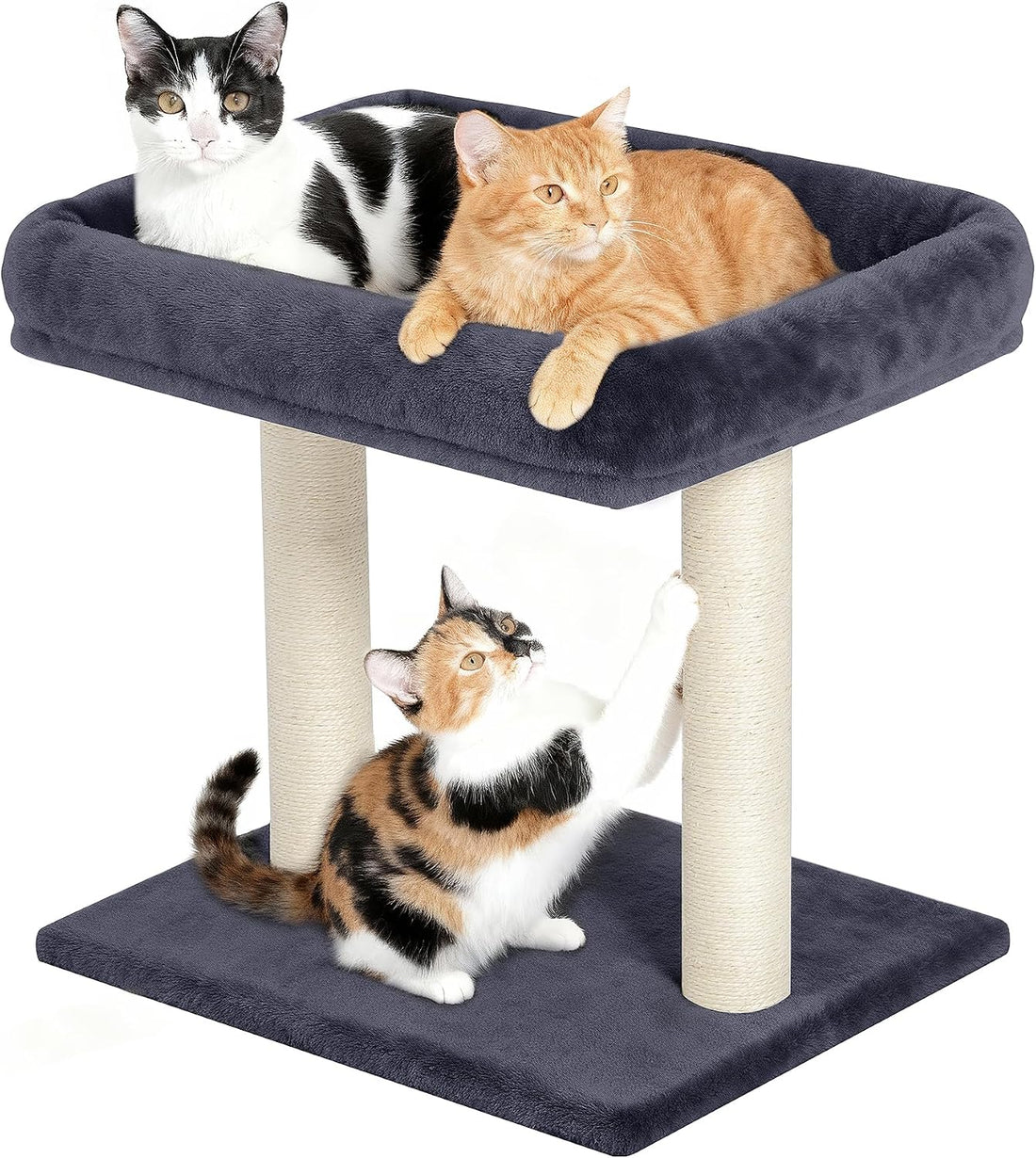 19" Small Cat Tree with Scratching Post for Indoor Cats with Perch