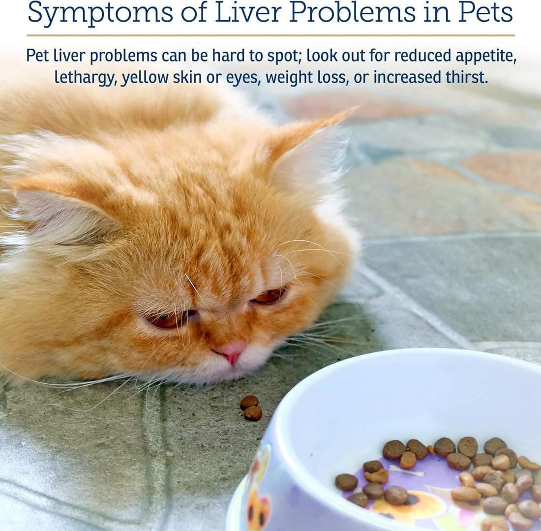 Rx Vitamins Hepato Support for Dogs & Cats - Liver Supplement - 90ct