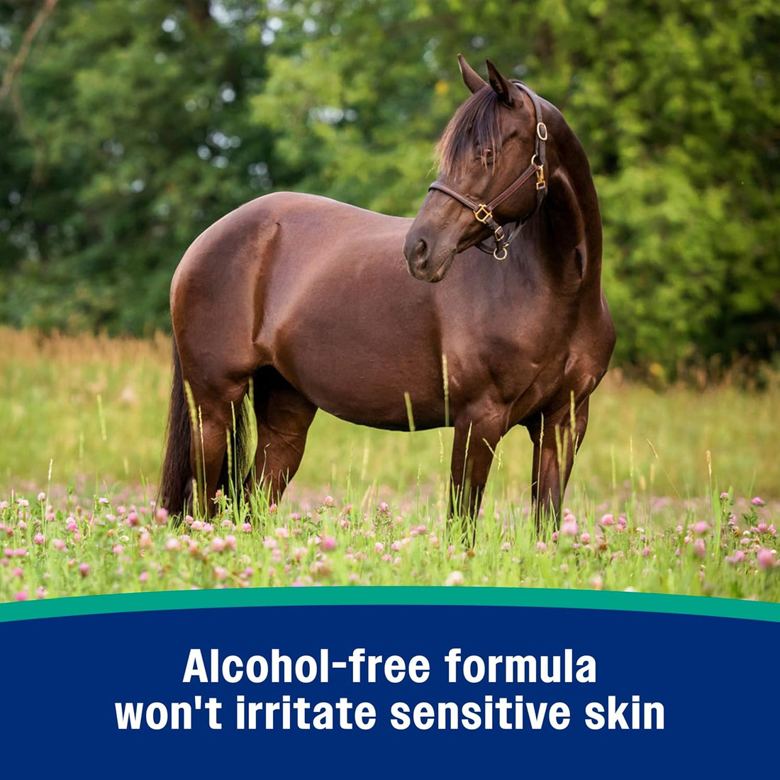 Farnam Nature’s Defense Concentrate, Botanical Fly Repellent Spray