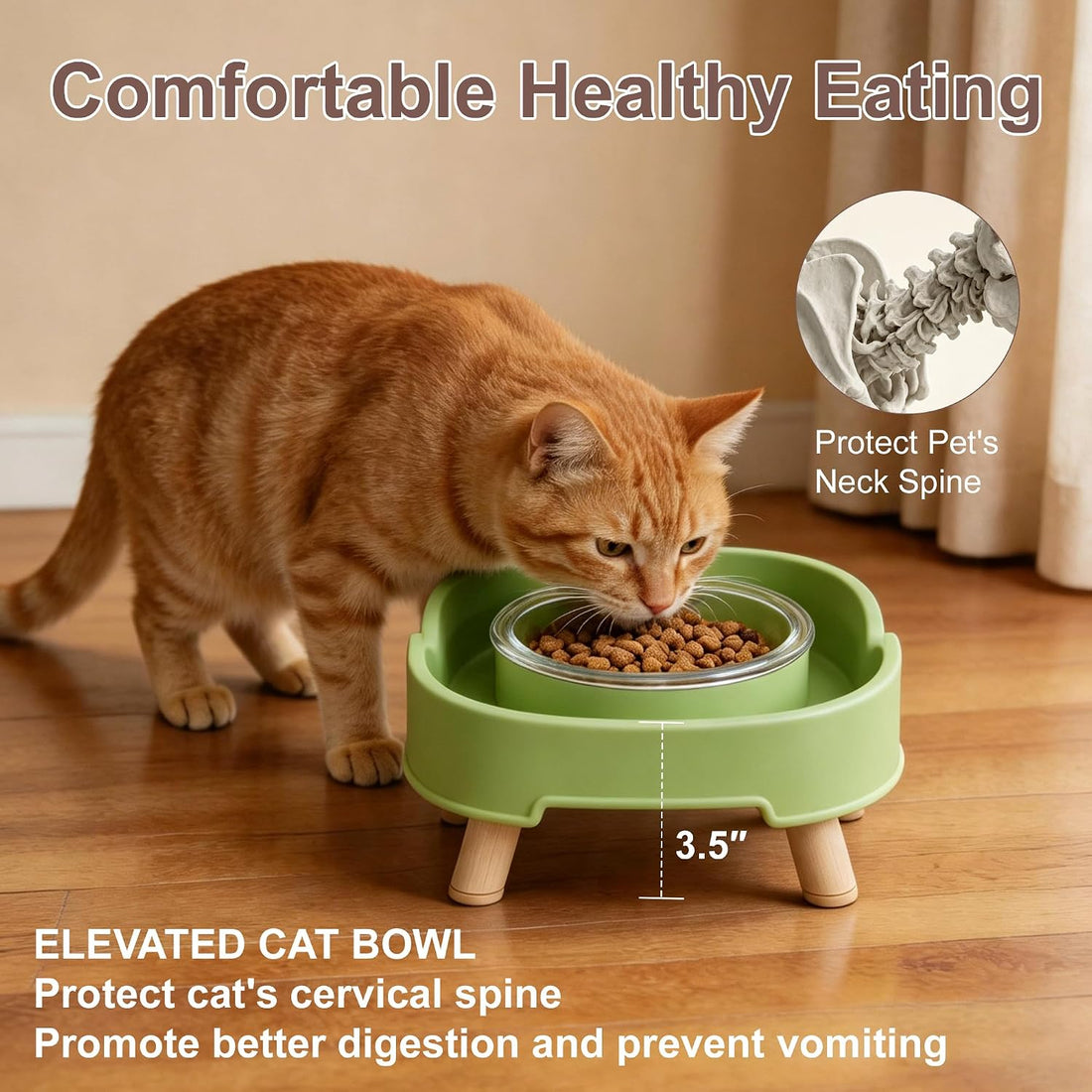 Ant Proof Cat Food Bowl, Non-Slip Elevated Cat Feeding Bowl