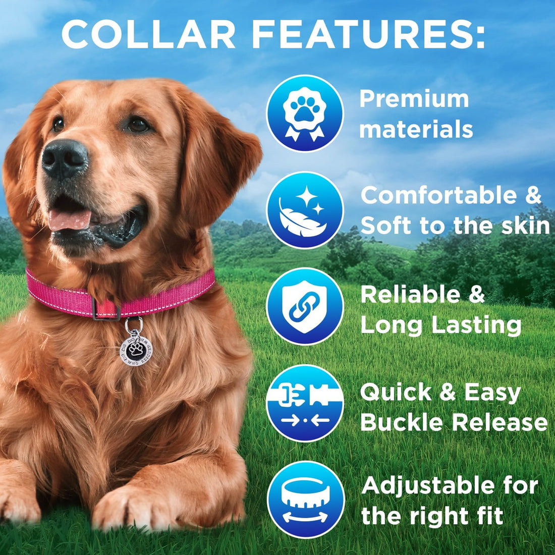 TECEUM Reflective Dog Collar – Hot Pink – M – Extra Soft Padding