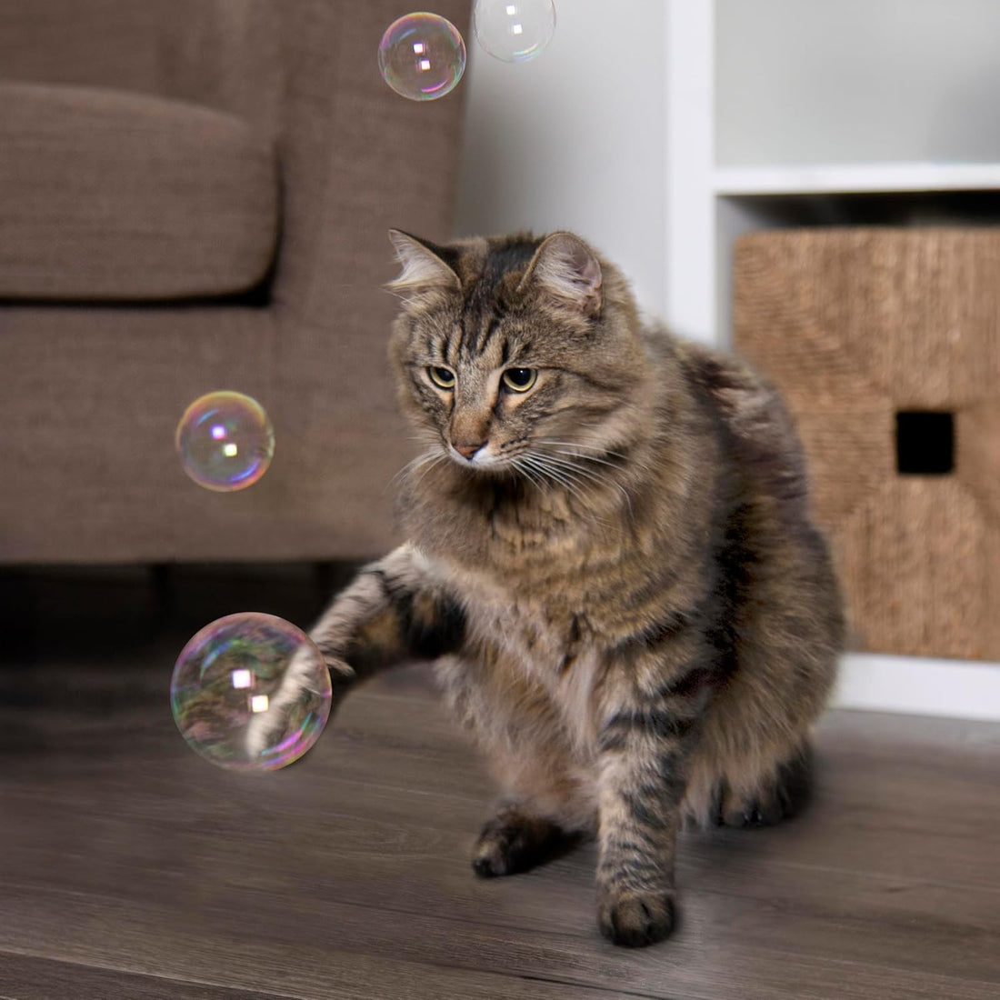 SmartyKat Bubble Nip Catnip Bubbles for Cats & Kittens, Safe for Pets