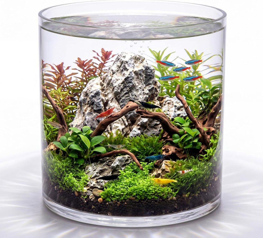 Maxdot 3.2 Gallon Cylindrical Glass Fish Tank, 360° Aquarium for Betta