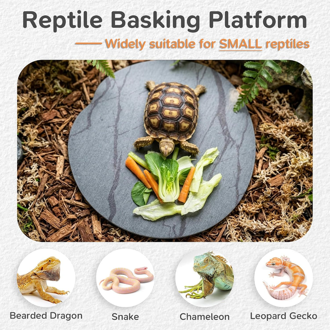 Reptile Basking Platform, 6''x6'' Basking Rocks for Bearded Dragons