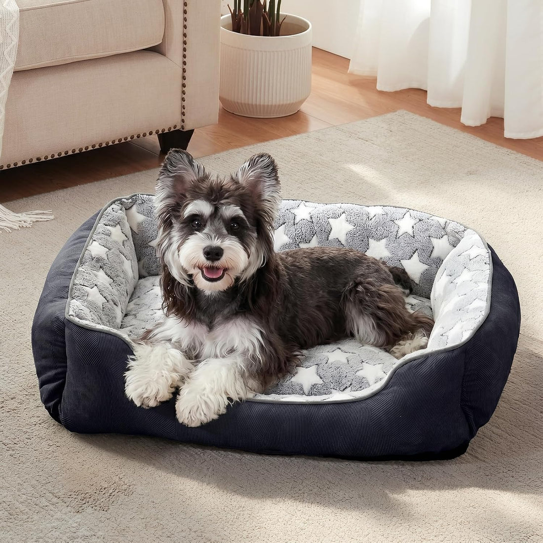 GASUR Small Dog Beds Small Size Dogs, Rectangle Washable Dog Bed