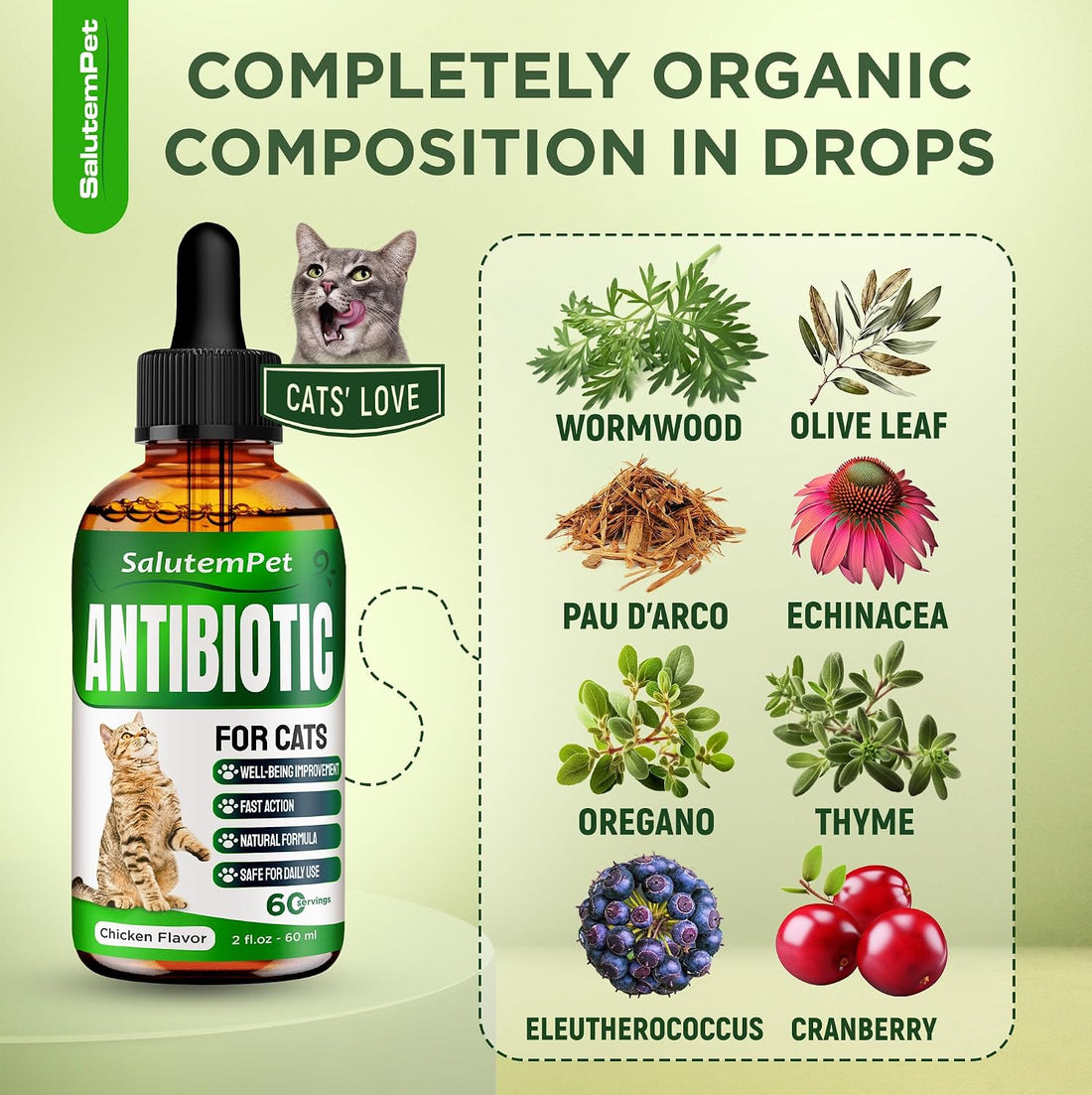 Cat Antibiotic for Infections, UTIs, Respiratory Moments, Cold