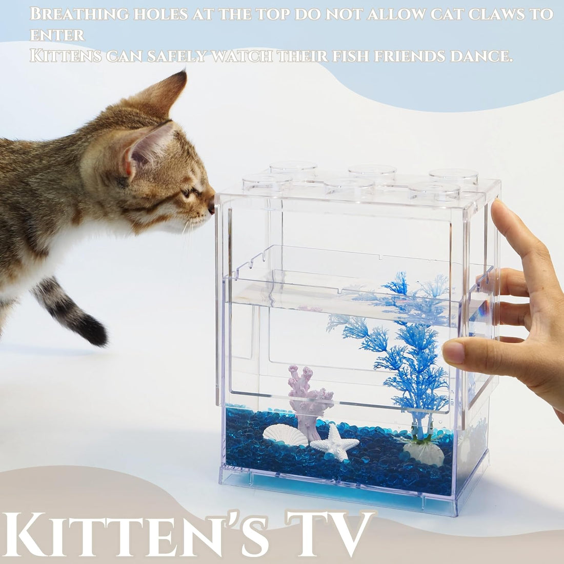 Small Betta Fish Tank, Mini Fish Tank Aquarium Tank Kit with Blue
