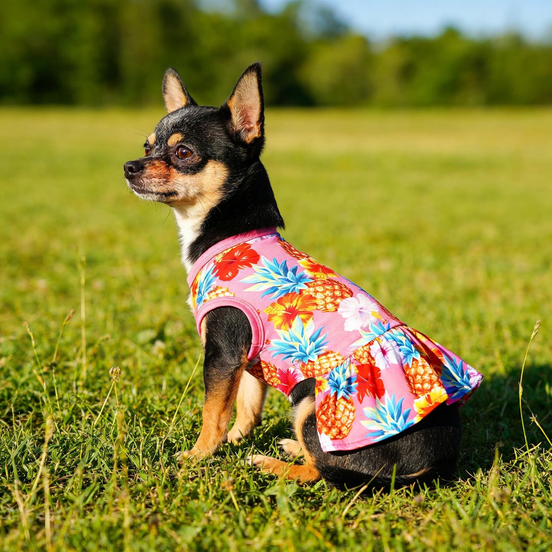 JpGdn 2PCS/Pack Hawaiian Dog Dresses Pink Green for Medium Dogs Girl