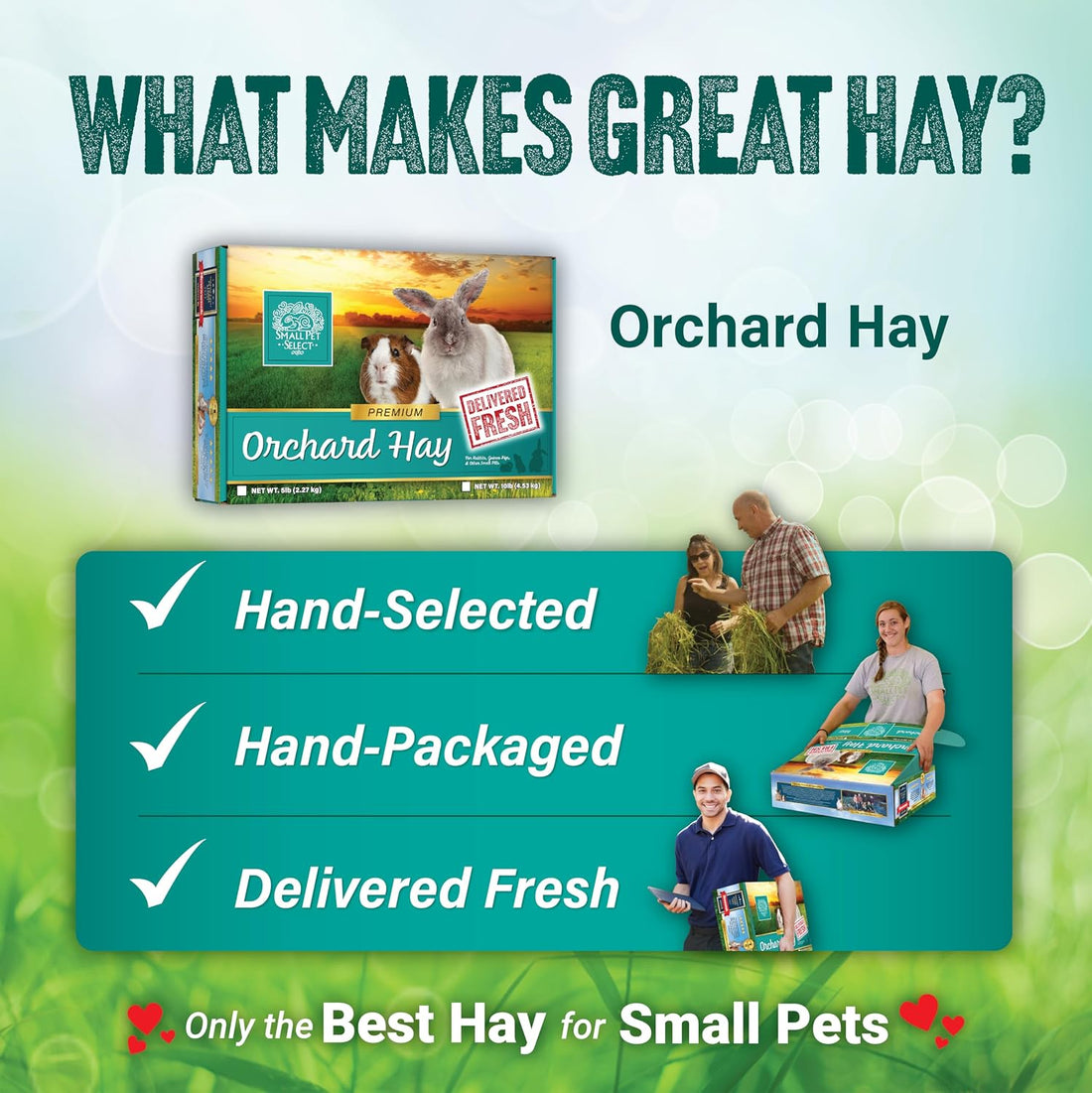 Small Pet Select Orchard Grass Hay Pet Food for Rabbits, Guinea Pigs