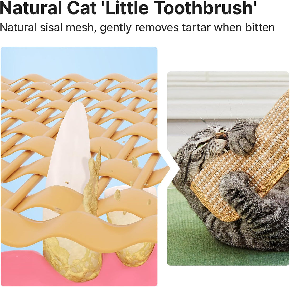 Potaroma Cat Toys Pack of 2 with 6000mg A+ Organic Catnip