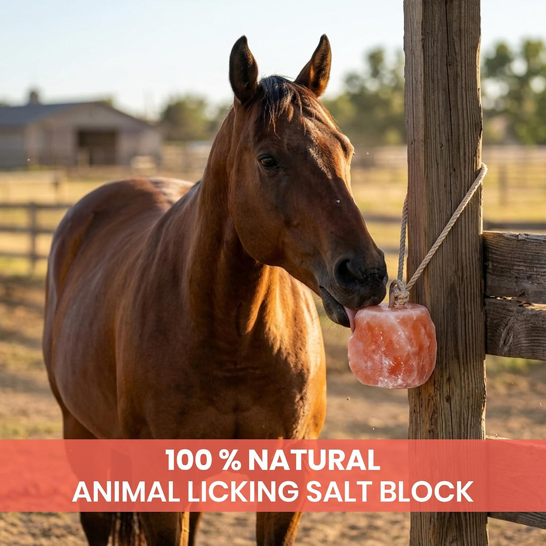 6 Himalayan Salt Block for Horses with Rope Natural Horse Salt Lick