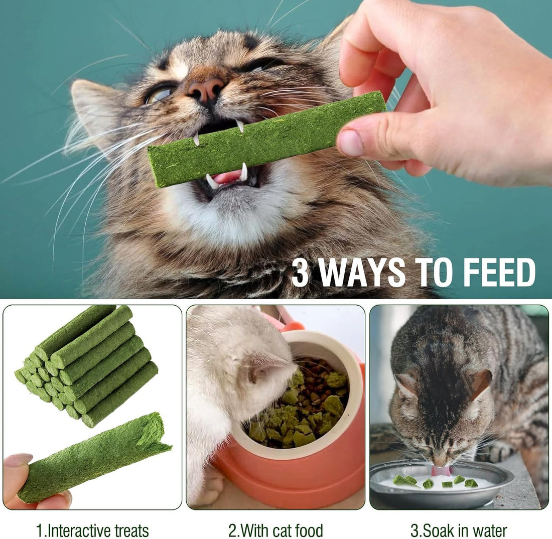 120g/4.23oz Cat Grass Teething Stick Hairballs,Chew Sticks