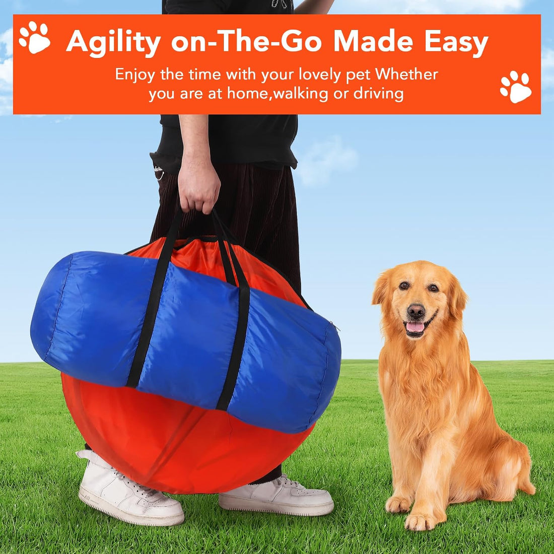 CuisinSmart Dog Agile Course Backyard Set