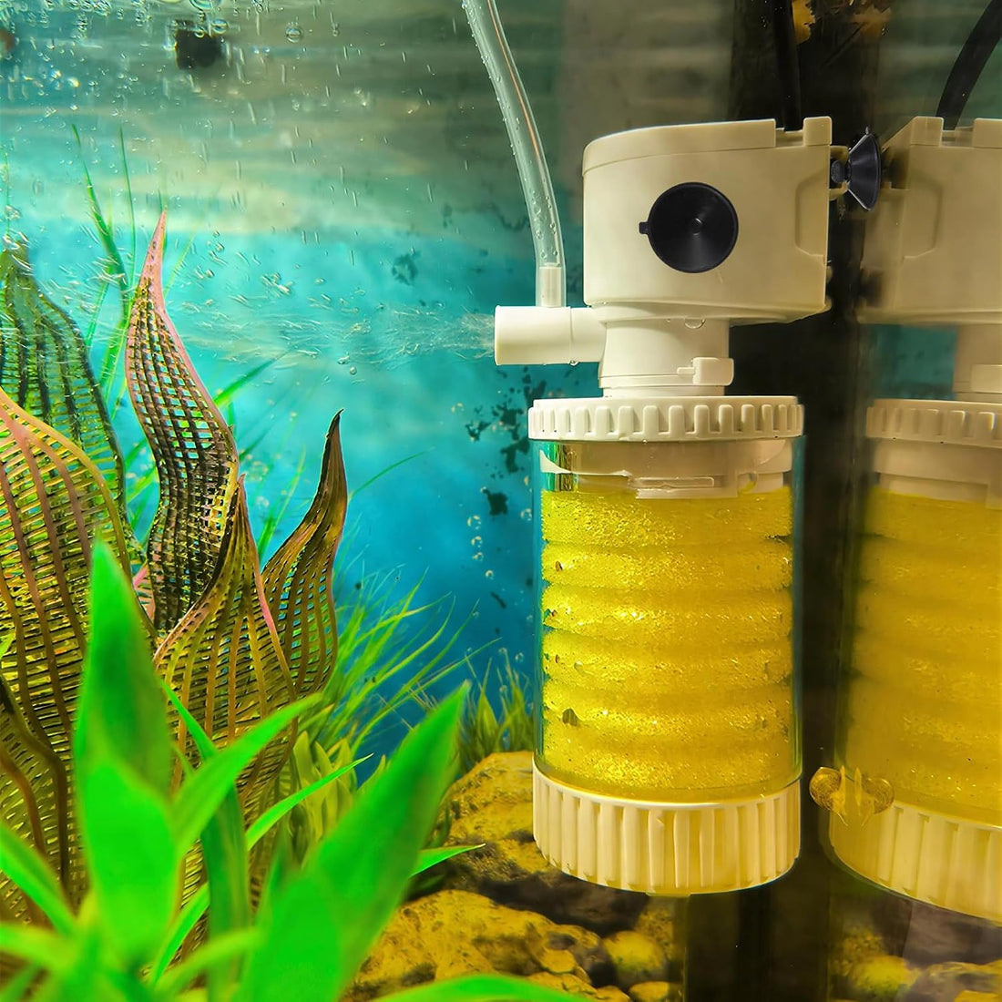 24PCS Fish Tank Suction Cups, Rubber Aquarium Suction Cups