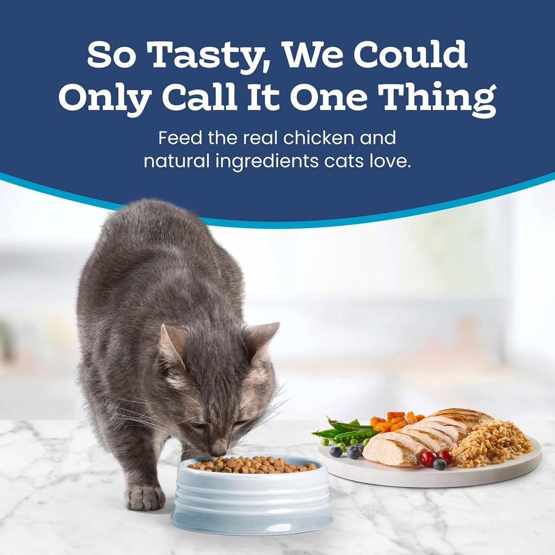 Blue Buffalo Tastefuls Chicken Adult Indoor Dry Cat Food, 22 lb