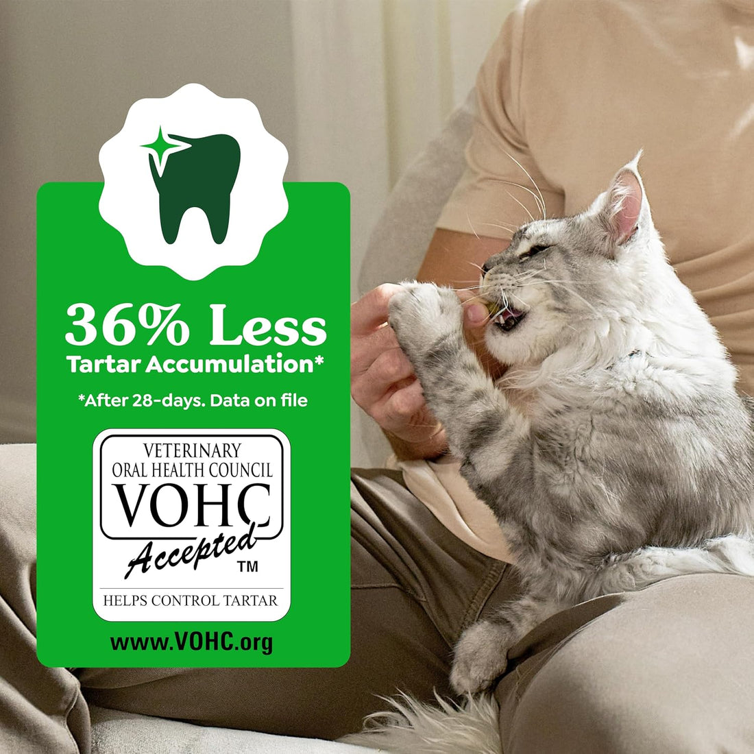 Greenies Cat Treats, Veterinarian-Recommended Adult Natural Dental