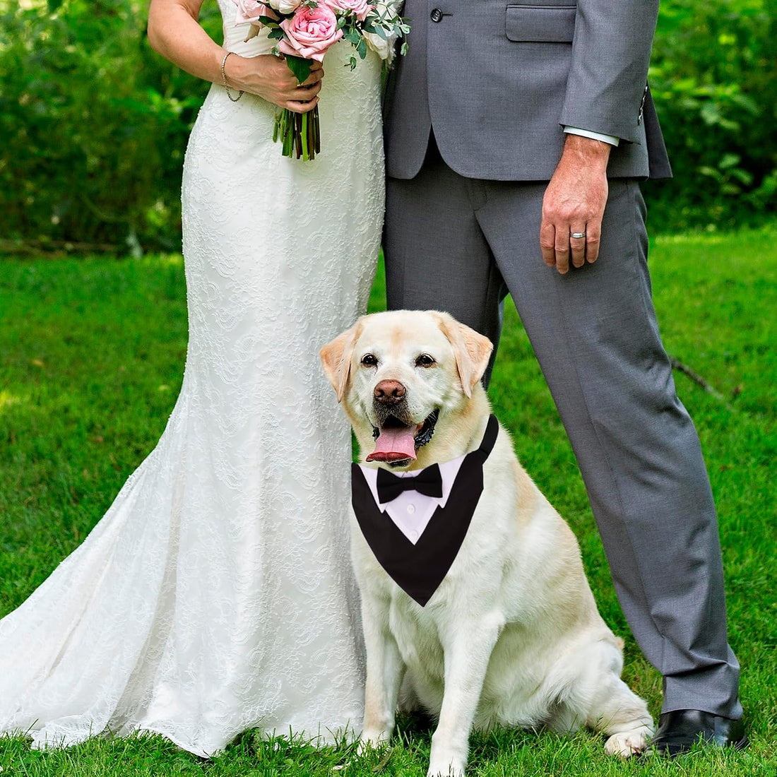 ADOGGYGO Dog Tuxedo Collar, Wedding Dog Bow Tie