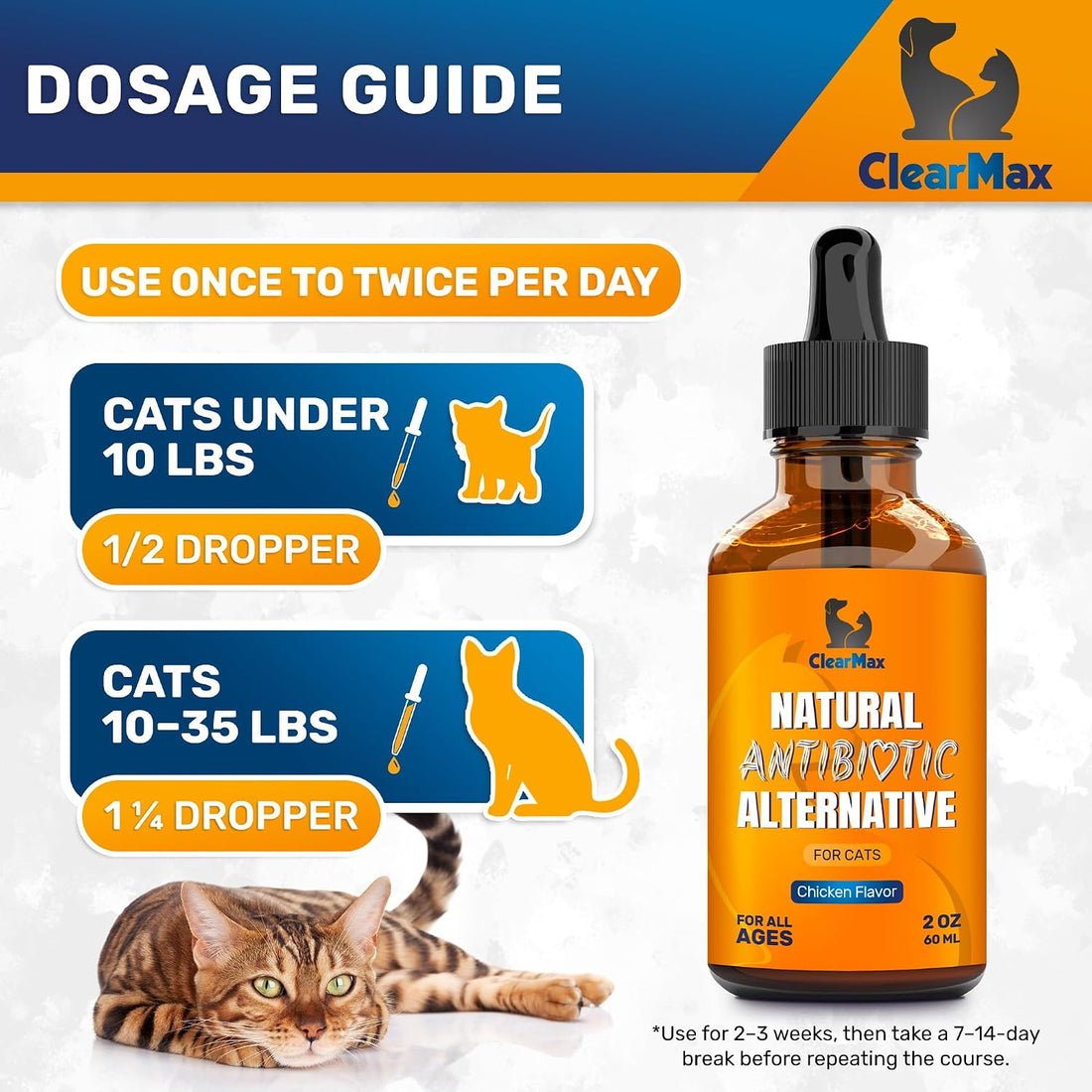 Cat Antibiotic Respiratory Support During Cough & Allergies